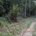 listing image thumbnail with ID 52594