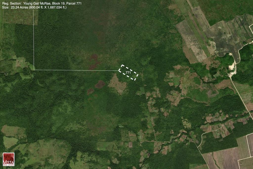 listing image with ID 51311