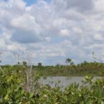 listing image thumbnail with ID 53962