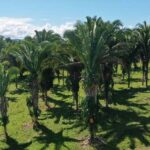 listing image thumbnail with ID 53662