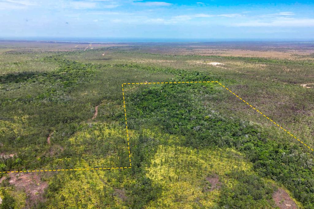 listing image with ID 51777