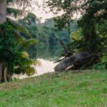 listing image thumbnail with ID 52891