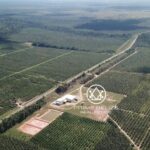 listing image thumbnail with ID 53919