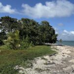 listing image thumbnail with ID 52696