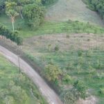 listing image thumbnail with ID 52375