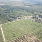 listing image thumbnail with ID 53917