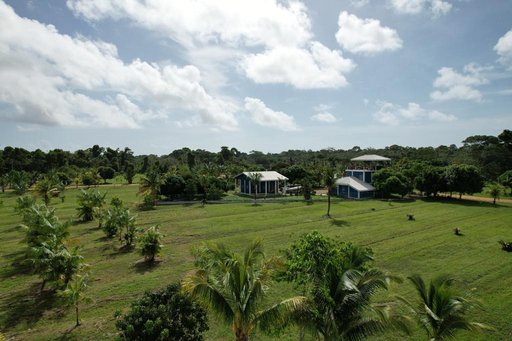 listing image with ID 54704