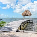 listing image thumbnail with ID 53395