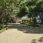 listing image thumbnail with ID 52810