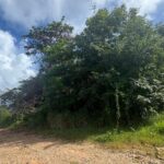 listing image thumbnail with ID 53972