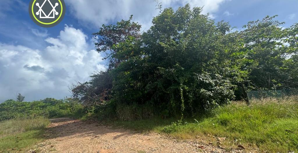 listing image with ID 53972