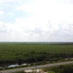 listing image thumbnail with ID 52749