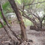 listing image thumbnail with ID 53843