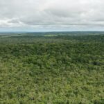 listing image thumbnail with ID 53891