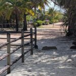 listing image thumbnail with ID 51251