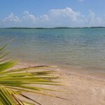 listing image thumbnail with ID 53903