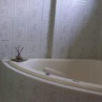 listing image thumbnail with ID 56187