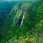 listing image thumbnail with ID 55504