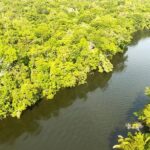 listing image thumbnail with ID 54200