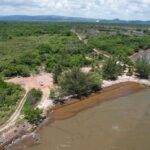 listing image thumbnail with ID 55516