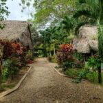 listing image thumbnail with ID 52776