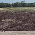 listing image thumbnail with ID 53481