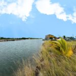 listing image thumbnail with ID 52143