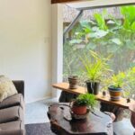 listing image thumbnail with ID 51989