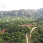 listing image thumbnail with ID 54478