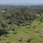 listing image thumbnail with ID 52862