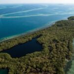 listing image thumbnail with ID 54440