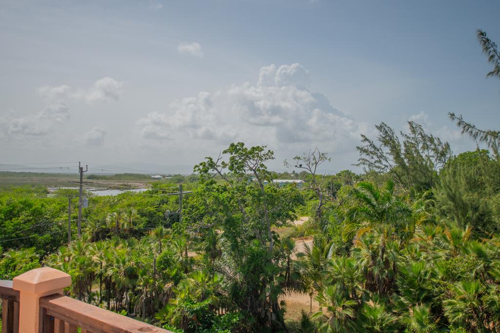 listing image with ID 58292
