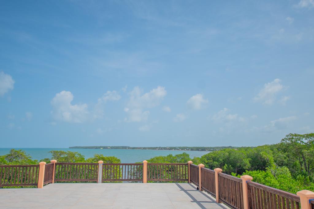 listing image with ID 58274