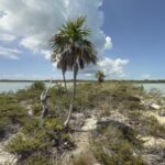 listing image thumbnail with ID 57895