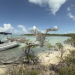 listing image thumbnail with ID 58054