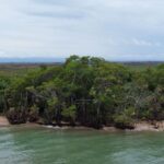 listing image thumbnail with ID 56920