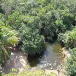 listing image thumbnail with ID 57441