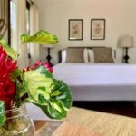 listing image thumbnail with ID 56822