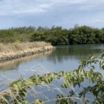 listing image thumbnail with ID 58250