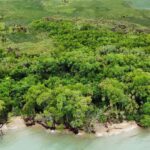 listing image thumbnail with ID 56923