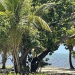 listing image thumbnail with ID 56988