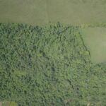 listing image thumbnail with ID 57553