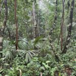 listing image thumbnail with ID 57655