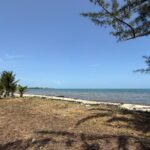 listing image thumbnail with ID 57010