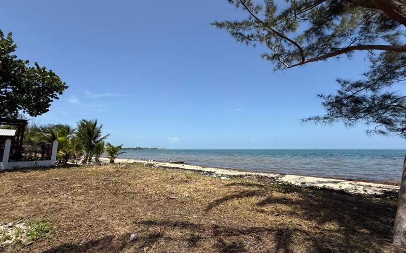 listing image with ID 57010