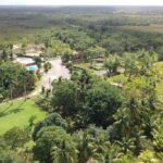 listing image thumbnail with ID 57428