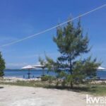 listing image thumbnail with ID 57987