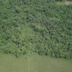 listing image thumbnail with ID 57555