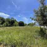 listing image thumbnail with ID 57002