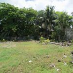 listing image thumbnail with ID 58145